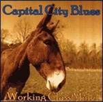 Baton Rouge Blues Foundation CD.jpg
